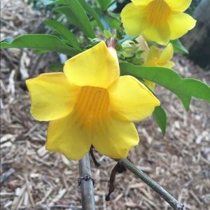 Meet your Posher, Jack